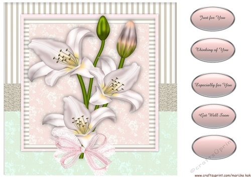 Beautiful Lilies 2