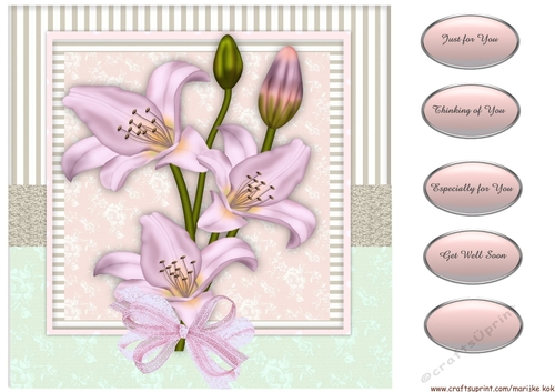 Beautiful Lilies 3