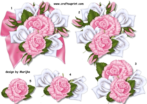 Large Bow & White & Pink Roses Step By Step