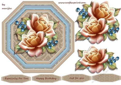 Octagon Card Roses