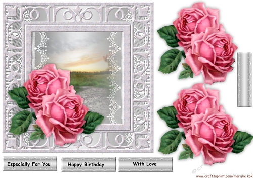 Silver FrameVintage Roses