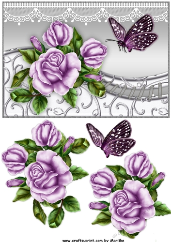 Roses & Butterflies