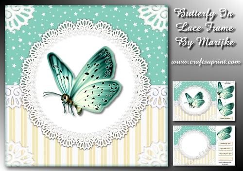 Butterfly In Lace Frame Mini Kit