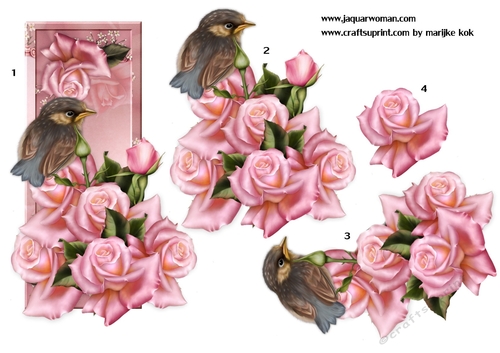 Precious Bird & Roses Step By Step