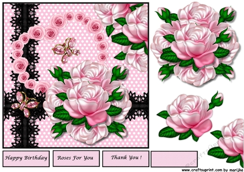 Gorgeous Pink Roses & Black lace