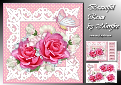 Beautiful Roses In Lace Frame Mini Kit