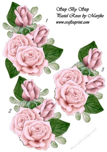 Step By Step Pastel Roses 