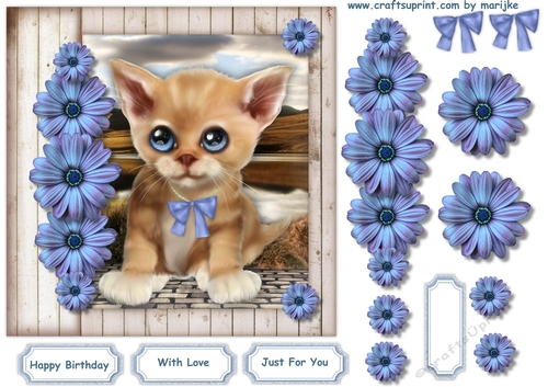 Cute Kitten Birthday Boy & Girl