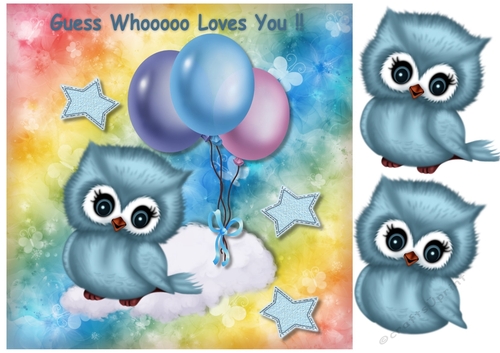 Cute owl Birthday Children