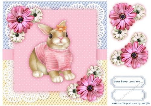 Some Bunny Loves You Quick Card