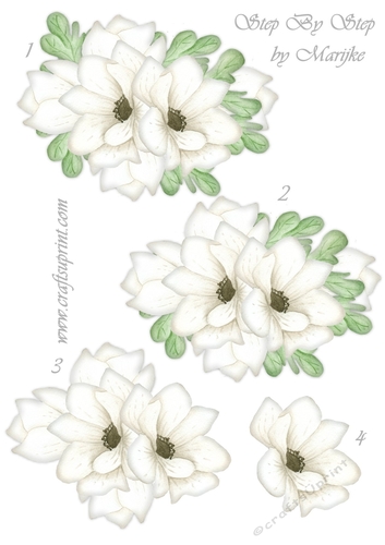 Step By StepBeautiful Flowers