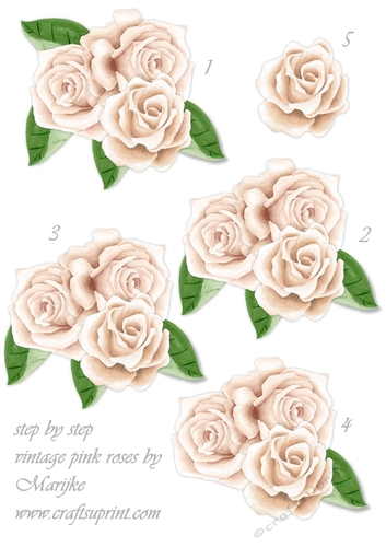Step By Step Vintage Yvory Roses