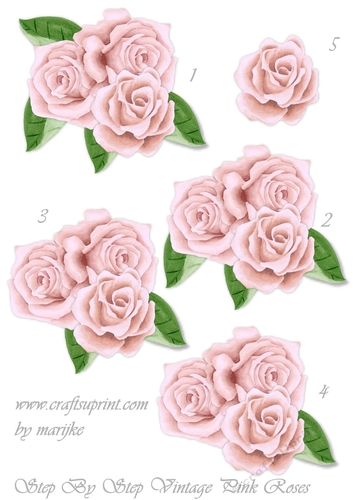 Step By Step Vintage  Pink Roses