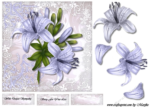 Sympathy Lilies in Lilac