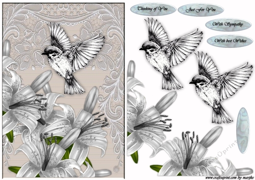 Sympathy Lilies , Lace  & Bird