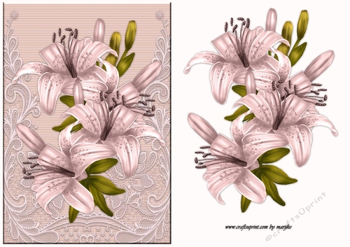 Sympathy Lilies , Lace  & Bird