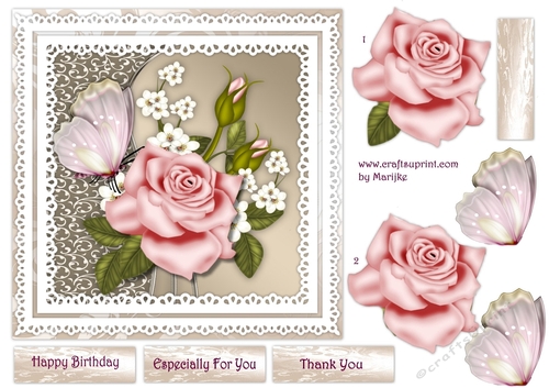 Pink Roses In Lace Frame