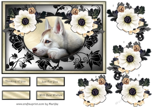 Beautiful Dog In Roses Frame