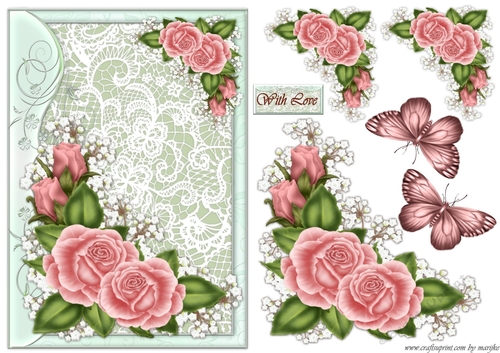 Beautiful Roses In lace Frame Quick card