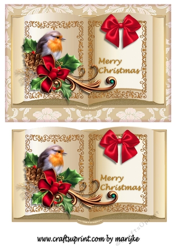 Vintage Christmas  Book Robin