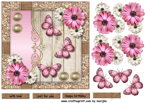 Beautiful Butterflies & Flowers
