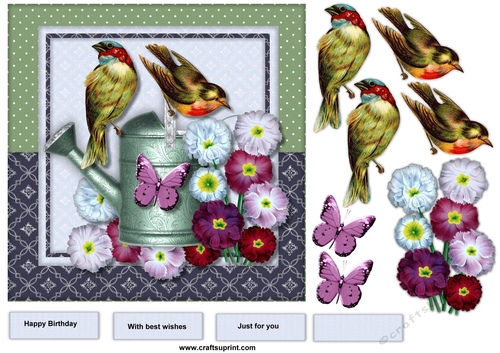 Male card Vintage Birds & Watering can
