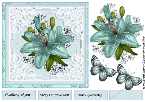 Lovely Lilies In lace Frame Sympathy