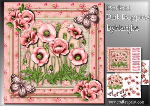Perfect Pink Poppies Mini kit
