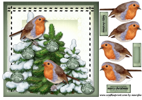 Christmas Robins