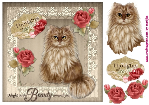 Cute Kitten & Roses 2