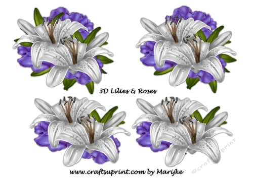 3D Roses & Lilies