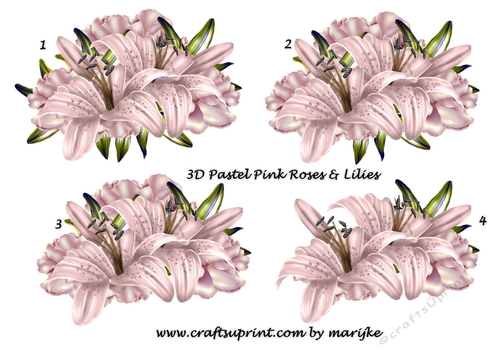 3D Roses & Lilies Soft pastel Pink 