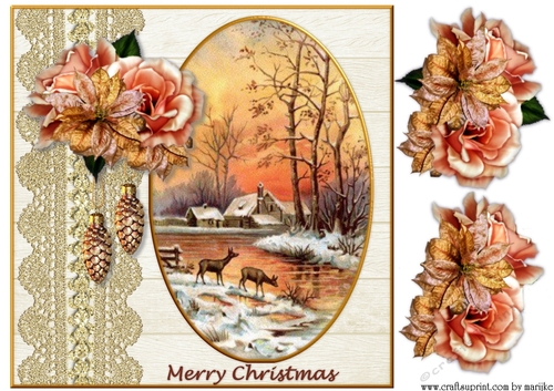 Classic Christmas Roses & Poinsettias