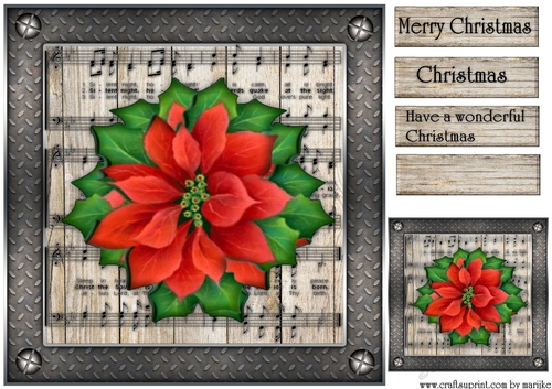 Male Card  Vintage Poinsettia