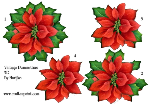 3D Vintage Poinsettias