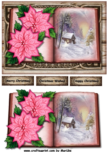Christmas Book & Poinsettias