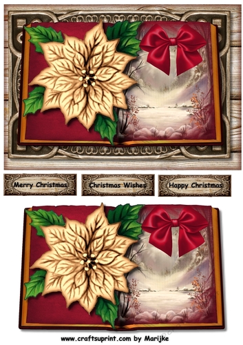 Christmas Book & Poinsettias 2