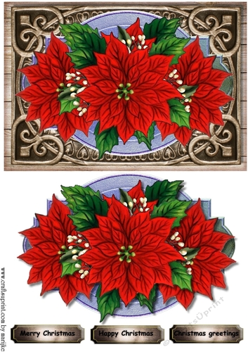 Christmas Shield red Poinsettias