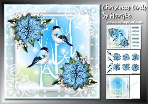 Christmas Birds & Poinsettias Mini kit Pastel Color