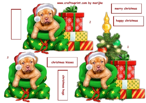 Puppys Christmas