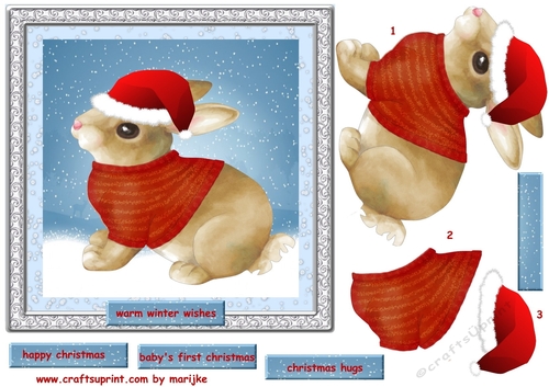 Baby Bunnys first Christmas