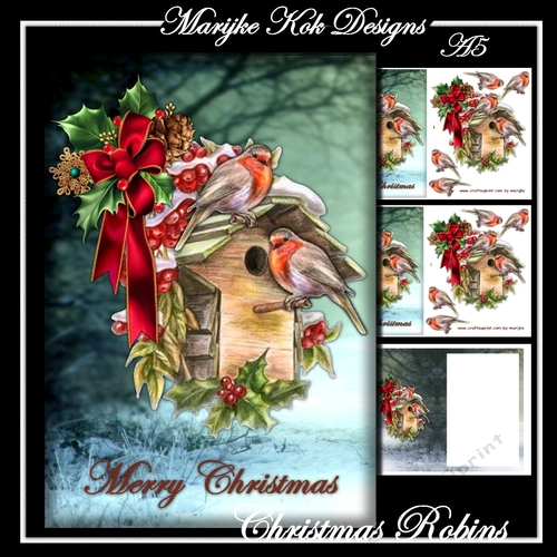 Christmas Robins A5 Card