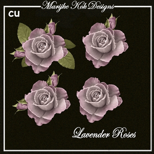CU Lavender Roses 