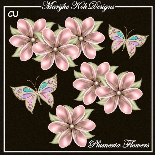 CU Plumeria Flowers