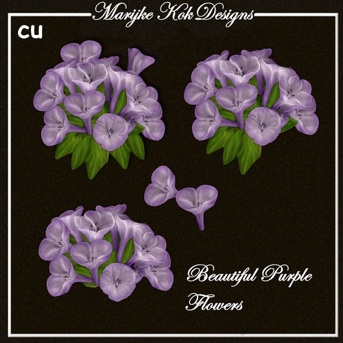 CU Beautiful  Purple Flowers