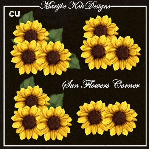 CU Sunflower Corner