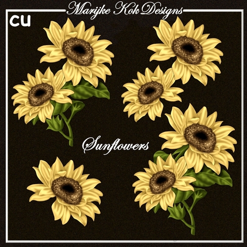 CU Sunflowers