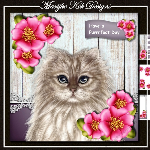 Purrrfect Day Cute Kitten Mini Kit