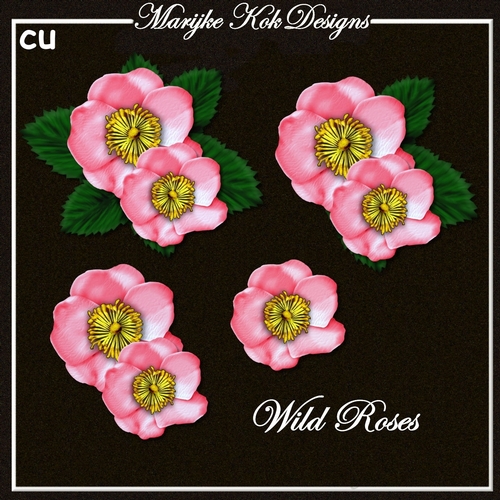 CU Wild Roses