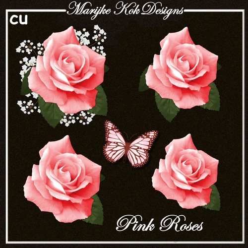 CU Pink Roses